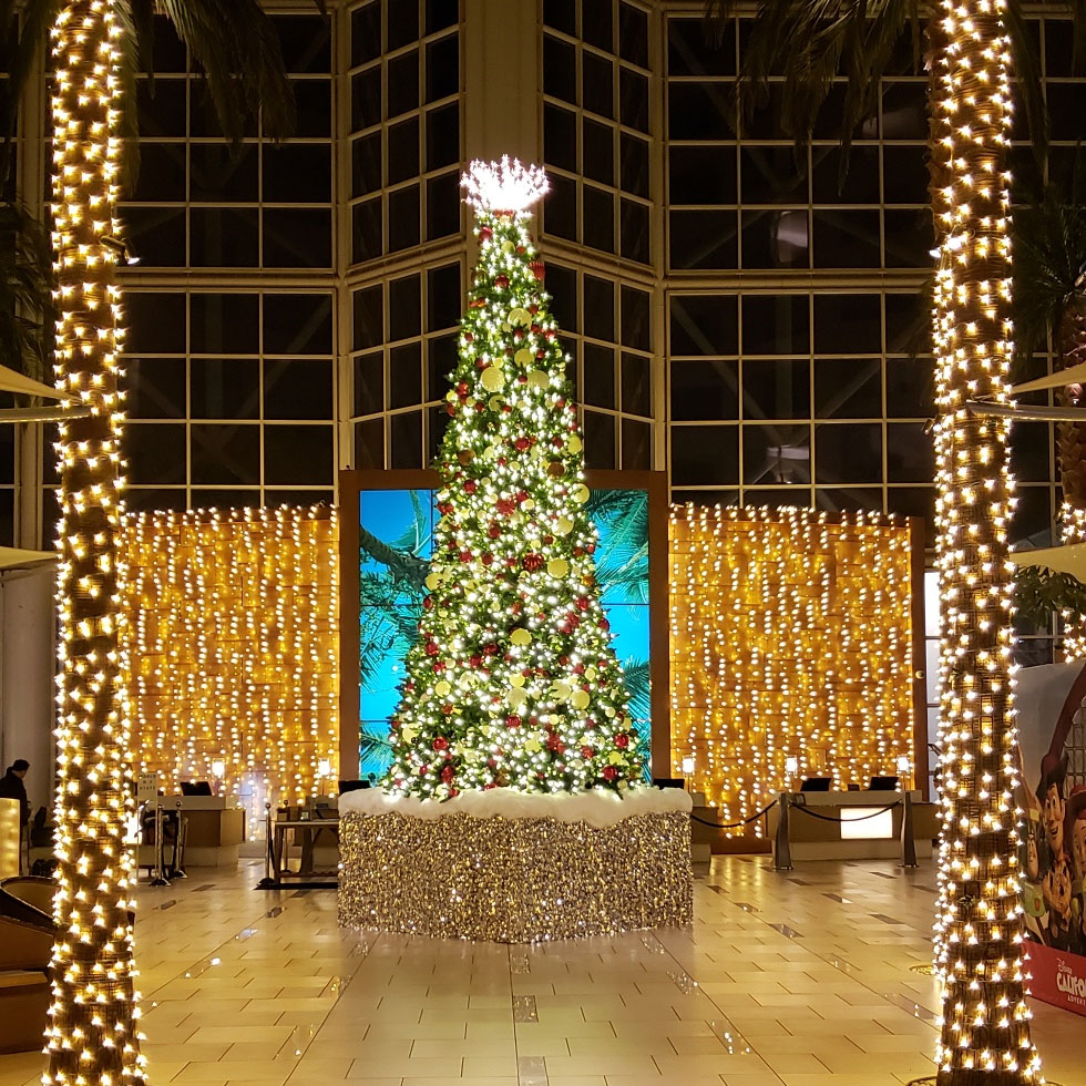 Hyatt-California-Commercial-Christmas-Lights