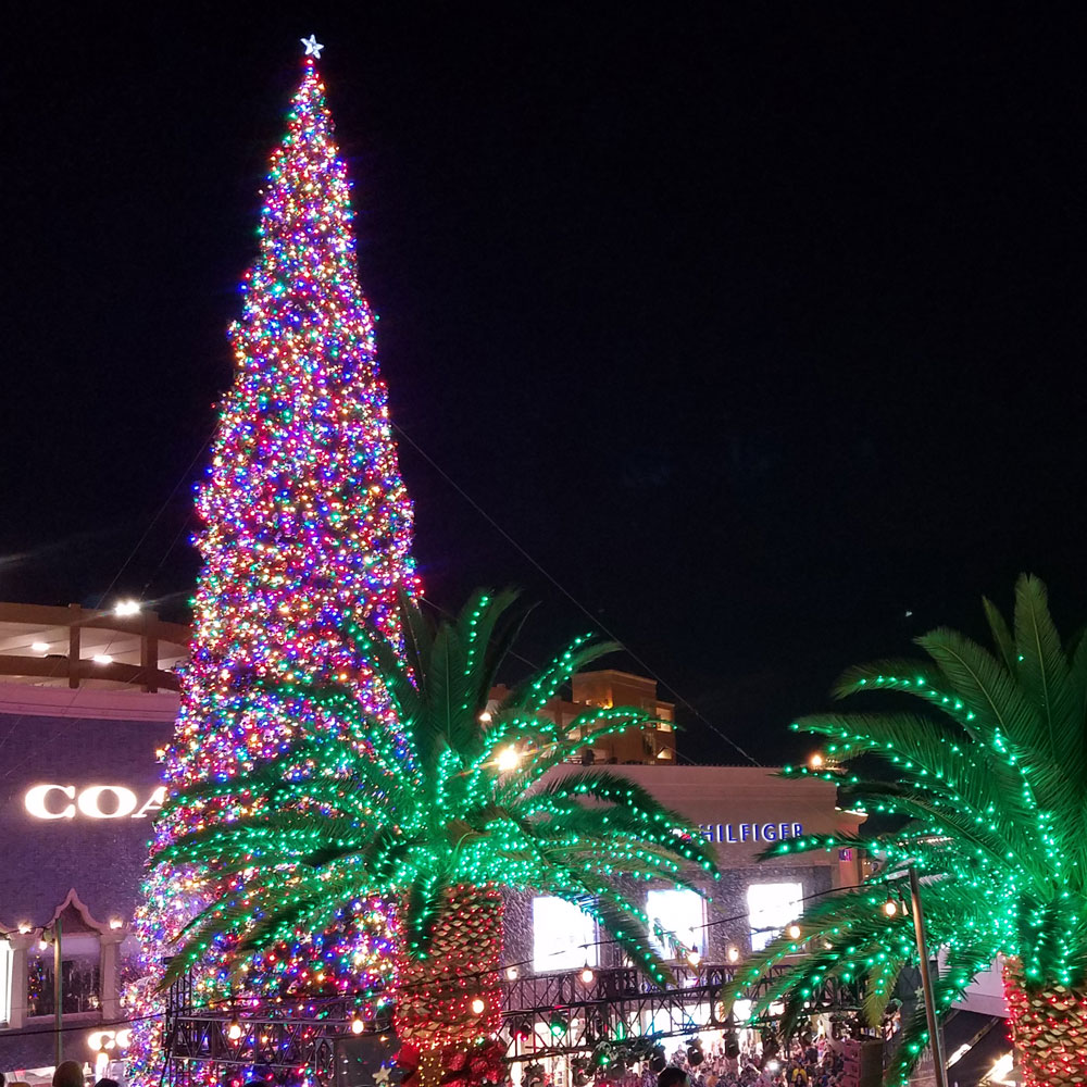 los-angeles-custom-christmas-light-installation